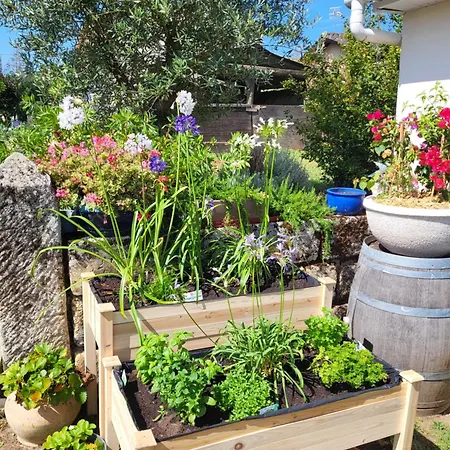Gîte 3 étoiles Lou Gaston
